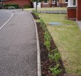 The Noblearbor